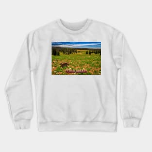 Cedar Breaks National Monument Crewneck Sweatshirt